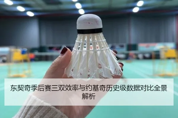 东契奇季后赛三双效率与约基奇历史级数据对比全景解析